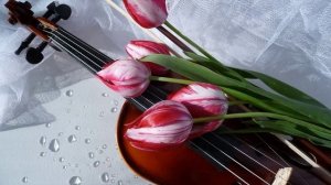 Мелодия Весны.