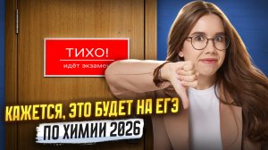 Что будет на ДОСРОКЕ 2026 ЕГЭ по химии?