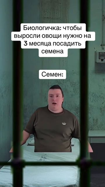 Жиза