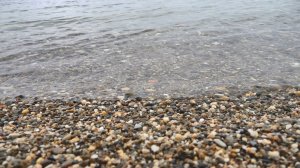 Экспертное мнение о перспективах курортного сезона в Анапе