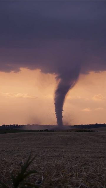 Ураганный вихрь на закатном фоне #торнадо #природа #метеорология