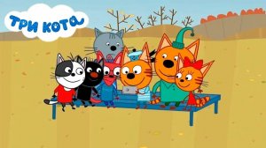 Три Кота / Развивающая Игра Для Детей.