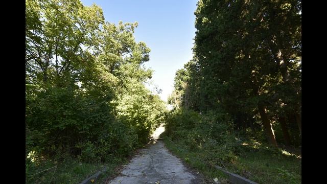 Дачи Квитко и Калинина 16.10.2018