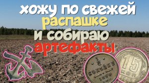 ХОЖУ ПО СВЕЖЕЙ РАСПАШКЕ И СОБИРАЮ АРТЕФАКТЫ. ПОИСК С ЭКВИНОКС 800.