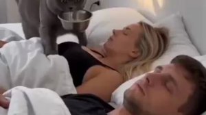 Типичное утро кошатников 😂😁😁  Сальвадор в Дали 😉