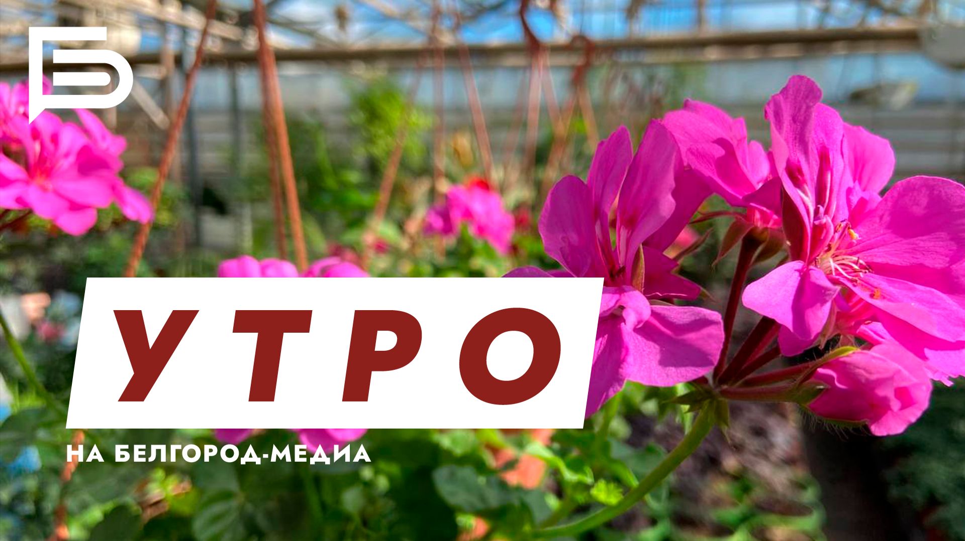 Утро Белгорода