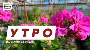 Утро Белгорода