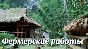 Фермерство своими руками: ремонт жерновов - приготовление корма для скота и переделка сада