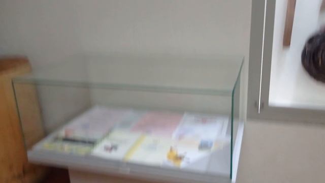 я с пчёлами