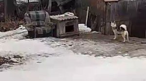 Наводнение переживем! Кто где😁👍🚀