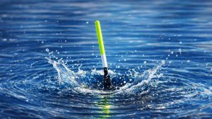 Все же нашел, где живет плотва! Ловля на поплавок.