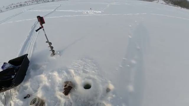 НАШЁЛ ТУ САМУЮ ЛУНКУ, В КОТОРОЙ СТОИТ СТАЯ ПЛОТВЫ! Зимняя рыбака на мормышку