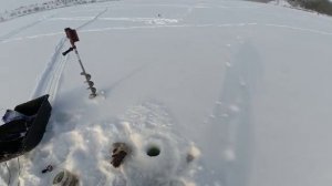 НАШЁЛ ТУ САМУЮ ЛУНКУ, В КОТОРОЙ СТОИТ СТАЯ ПЛОТВЫ! Зимняя рыбака на мормышку