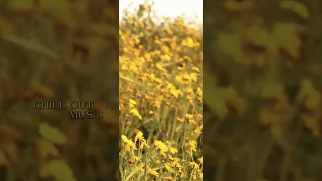 CHILL OUT DREAM MUSIC