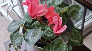 всем привет