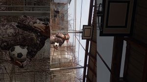 баскетбол 🏀