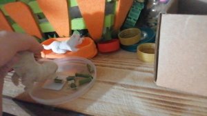 Чисто мы😅😋.mp4