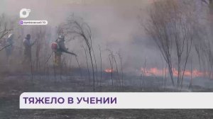 Без комментариев / Тяжело в учении / 26.03.26