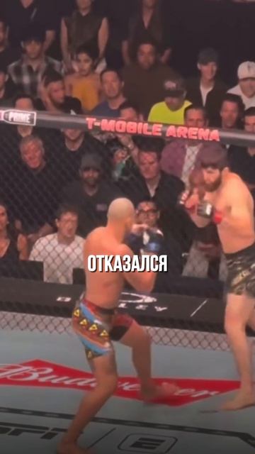 Алекс Перейра заключил самый жирный контракт в своей жизни! #ufc #mma