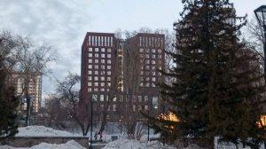 шарлотка и картошка