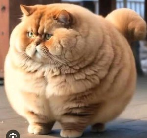 для ровных пацанов и девчонок