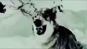 На заре ☀️☁️