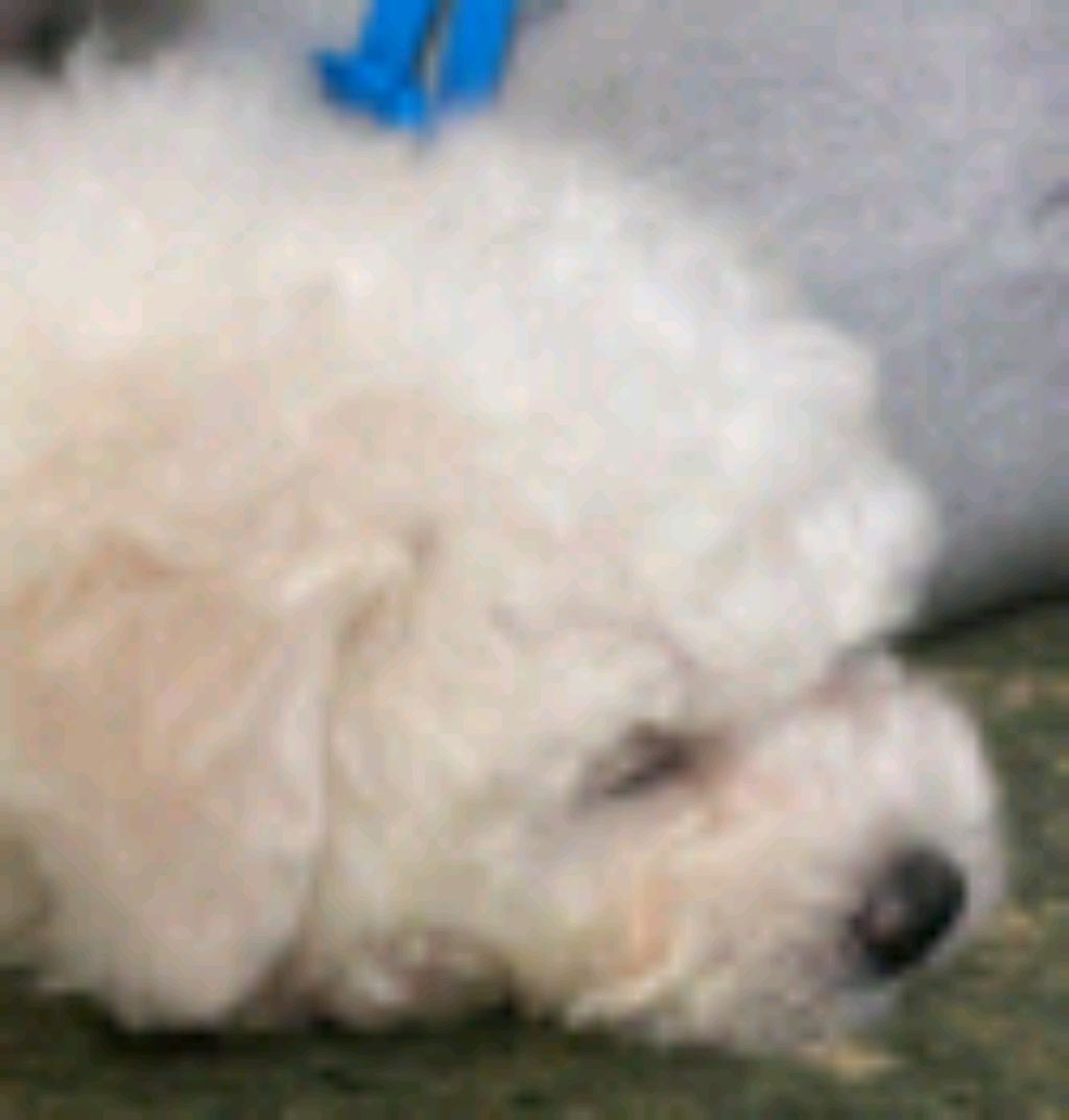 На пид байк(θ‿θ)(◔‿◔)🤙🏻🤙🏻😀😀😀😀😃😃