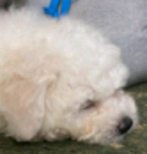 На пид байк(θ‿θ)(◔‿◔)🤙🏻🤙🏻😀😀😀😀😃😃