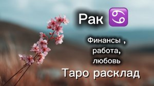 РАК ‼️23 марта -5 апреля ТАРО расклад 💕три сферы