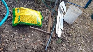 Голубика,посадка в ведро. сажать или нет ?