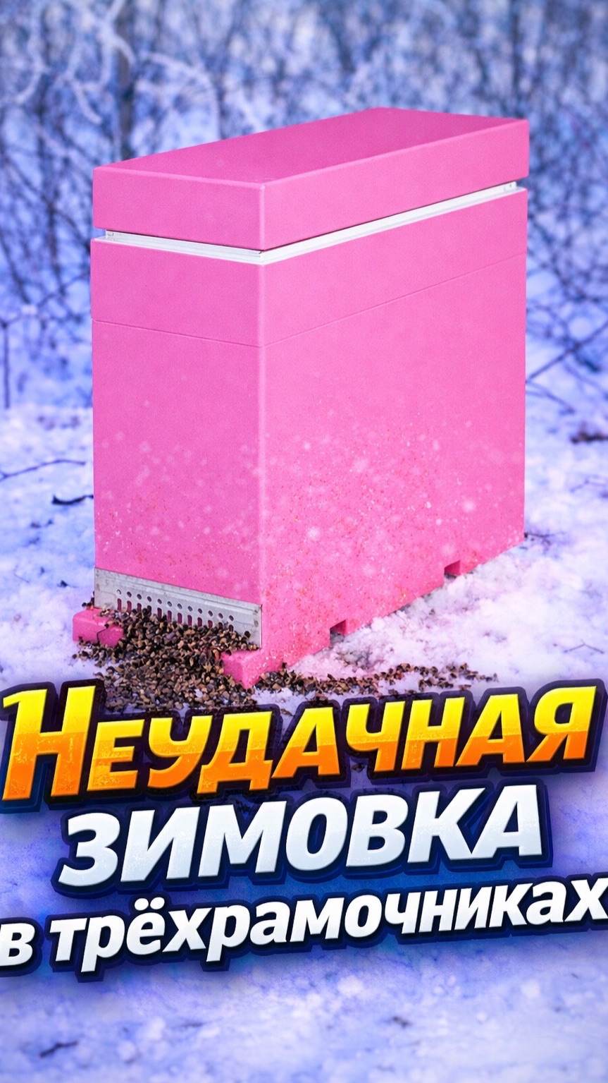 Неудачная зимовка в трёхрамочниках!