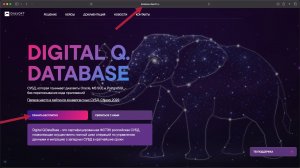 Digital Q.DataBase 17.4 Как скачать и установить