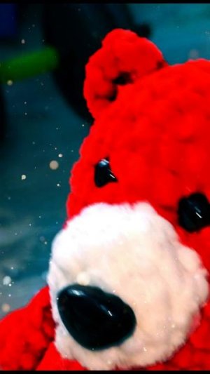 Медведь Костя