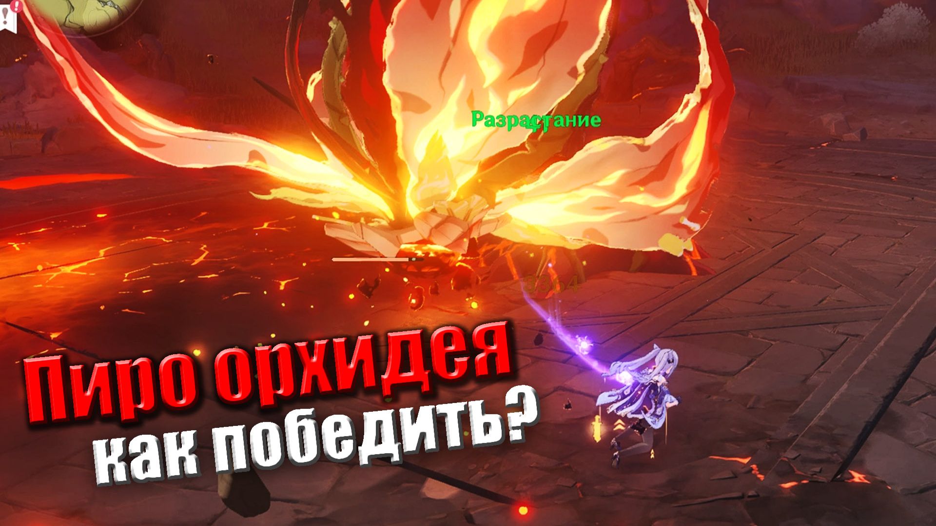 Пиро орхидея босс в Геншин Импакт как победить босса Genshin impact тактика отряд артефакты