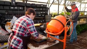 Наукоград Дубна в 2026 году украсят больше миллиона цветов