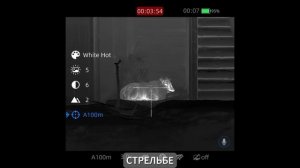 Видеоинструкция на тепловизионный прицел Longot TR650L