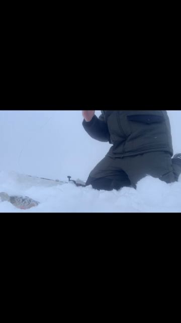 Это СЕВЕР детка 😎🤘🔥💪