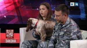 На стороне закона. 26.03.2026