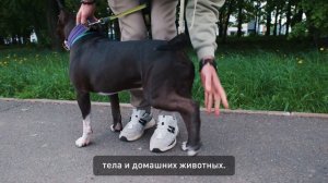 Рубрика «За кулисами сервиса»:  Стандарты дезинсекции в ЖК «Царево Village»