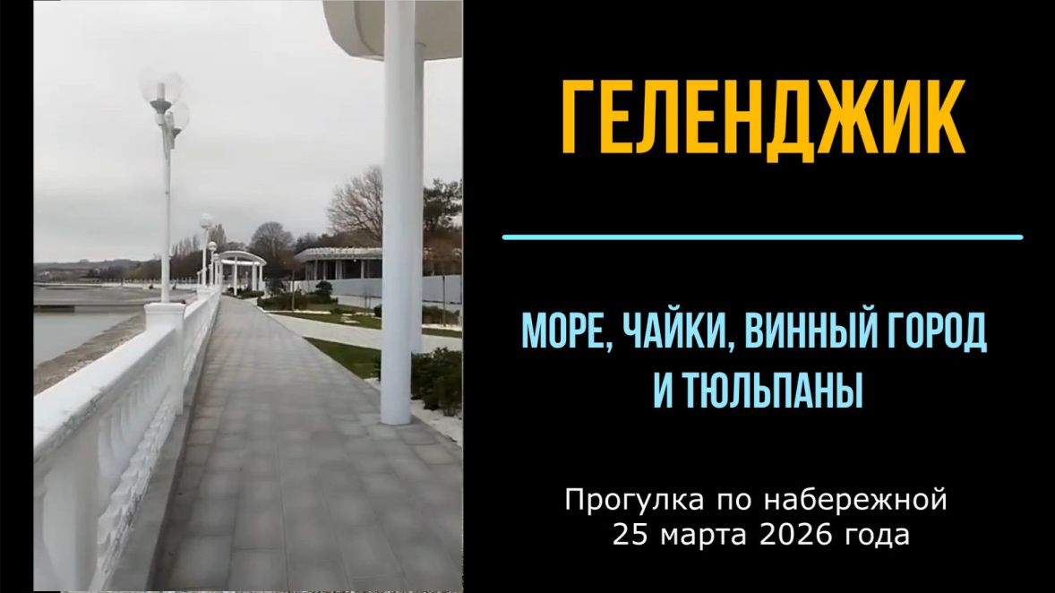Геленджик, море, чайки, Винный город и тюльпаны, 25 марта 2026 года, прогулка по набережной