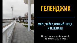 Геленджик, море, чайки, Винный город и тюльпаны, 25 марта 2026 года, прогулка по набережной