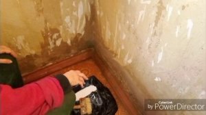 Готовлю грядку под укроп / Ремонт комнаты.