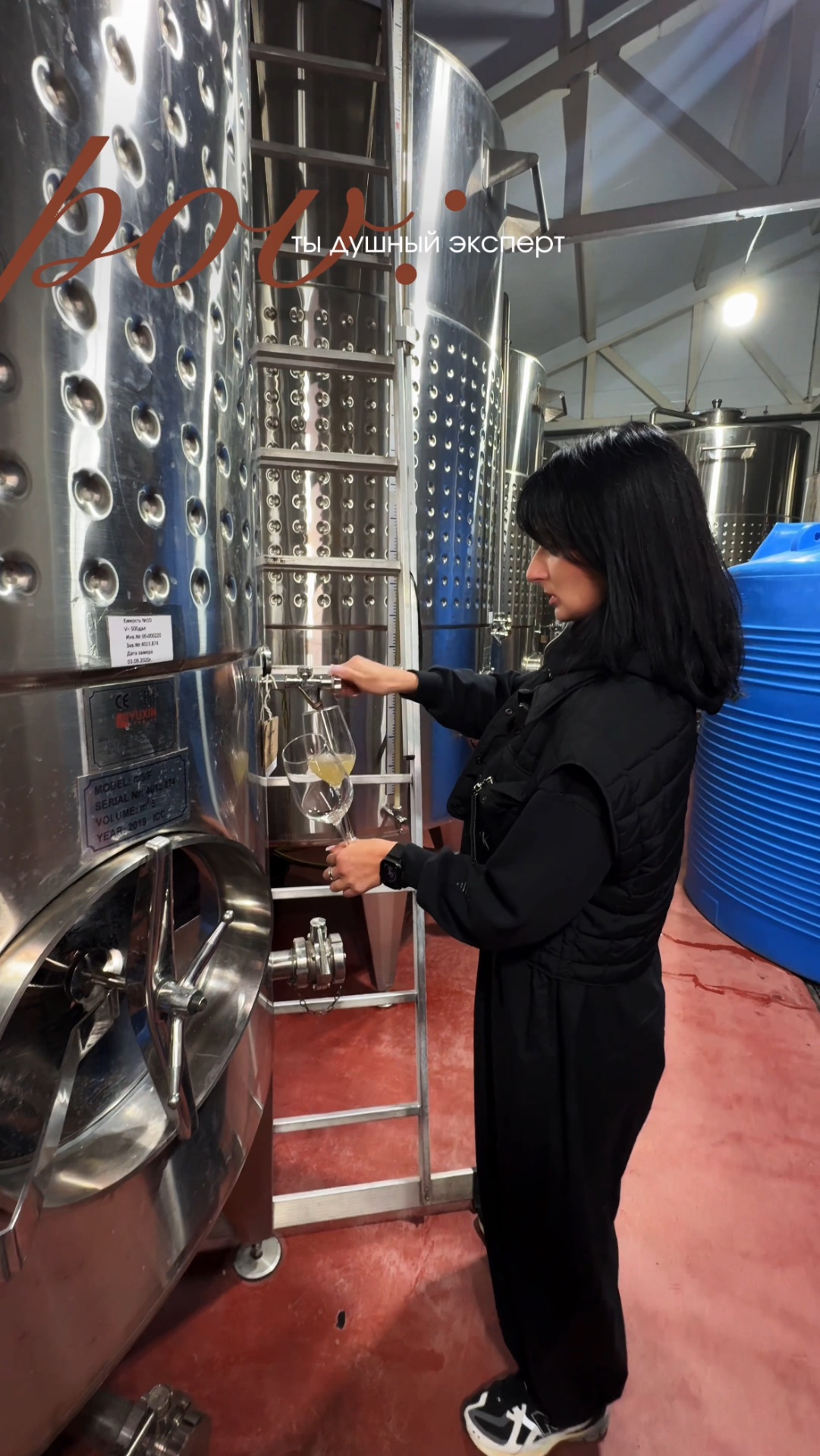 душный «эксперт»