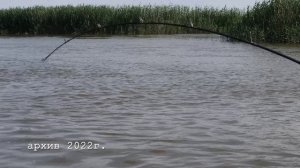 «НАРОДНЫЙ ПРОЕКТ АСТРАХАНЬ» Аzorная рыбалка. Янкин, Мухаматдеев, Сарана.