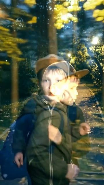 Если ты заблудился в лесу...