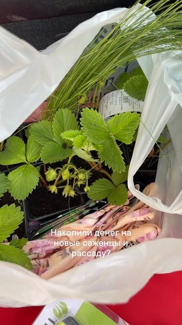 Клип @lenkaslopatoy