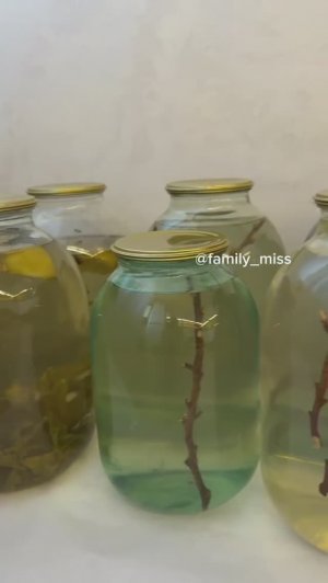 Берёзовый сок на зиму 🌿🫙🌿