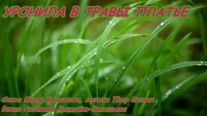 УРОНИЛА В ТРАВЫ ПЛАТЬЕ  Красивая  застольная песня
