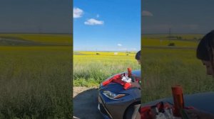 Красивые нарезки видео 🎞️ Анна Лама