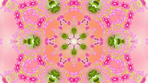 Весна! Очаровательные тюльпаны 8! Киностудия Мудрого Кота Тимофея!